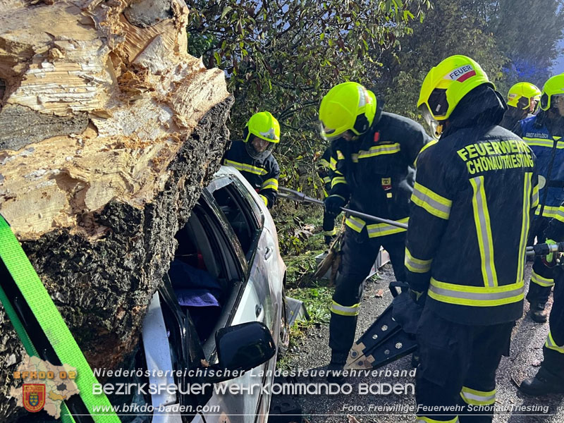 20250926_Bezirksübergreifende Übung "Menschenrettung" in Sollenau Foto: Markus Vogt FF Schönau a.d.Triesting 20250926_Bezirksübergreifende Übung "Menschenrettung" in Sollenau Foto: Markus Vogt FF Schönau a.d.Triesting
